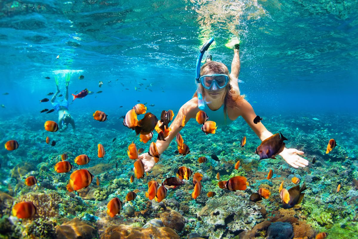 Snorkeling - Zanzibar