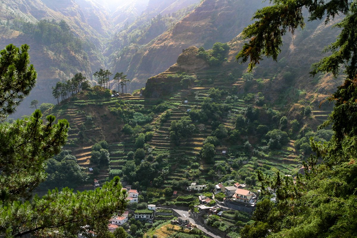 Madeira-Terraces