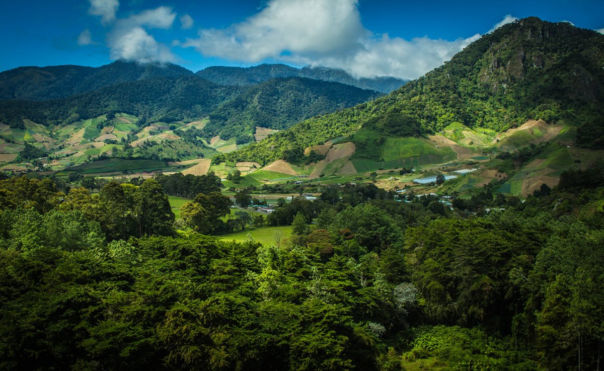 Panama - Cerro Punta