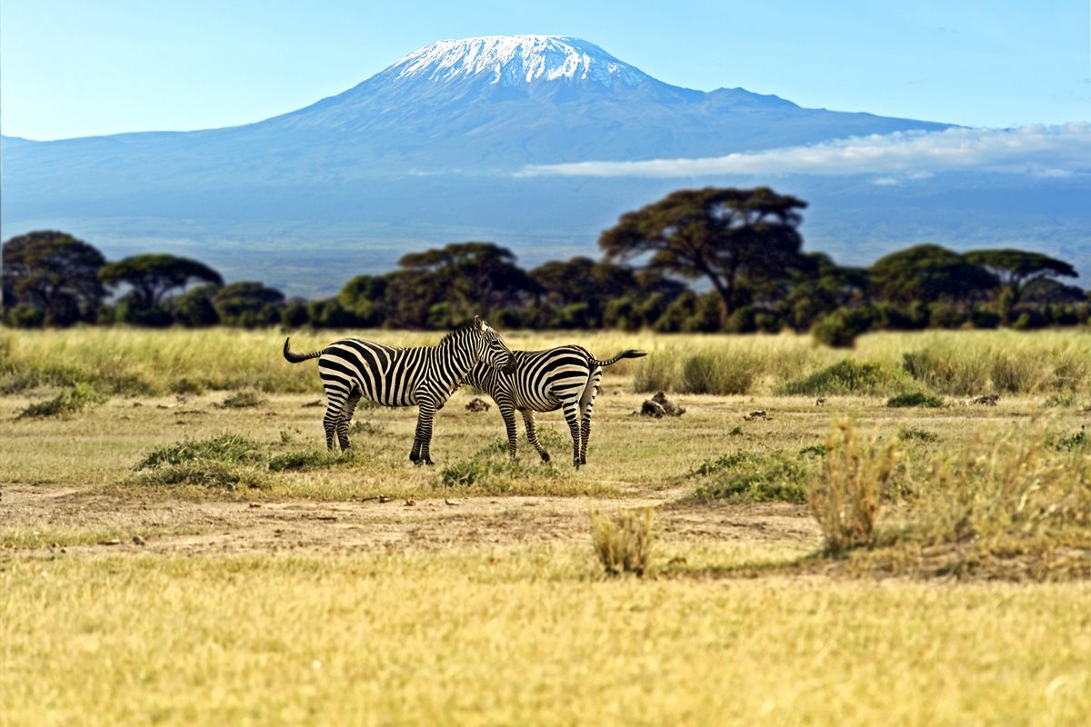 Parcul National Amboseli - Kenya